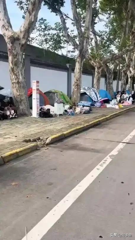 酒店选帐篷”:一场年轻态的旅行革命冰球突破豪华版00后十一长假“弃(图2) 酒店选帐篷”:一场年轻态的旅行革命冰球突破豪华版00后十一长假“弃(图2)