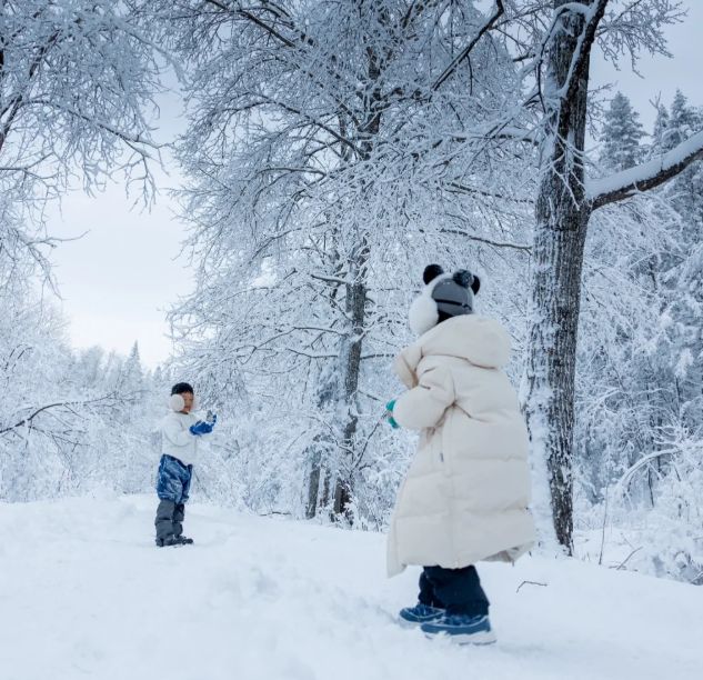 碑！国家认证+真实口碑双重保障不踩雷冰球突破平台2025 哈尔滨旅行社口(图4)