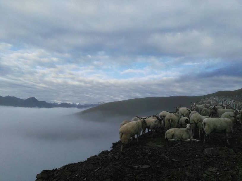 中国】达瓦更扎看云海冰球突破平台【大美(图2)